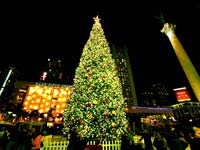 Albero di Natale addobbato: albero di Natale Union Square